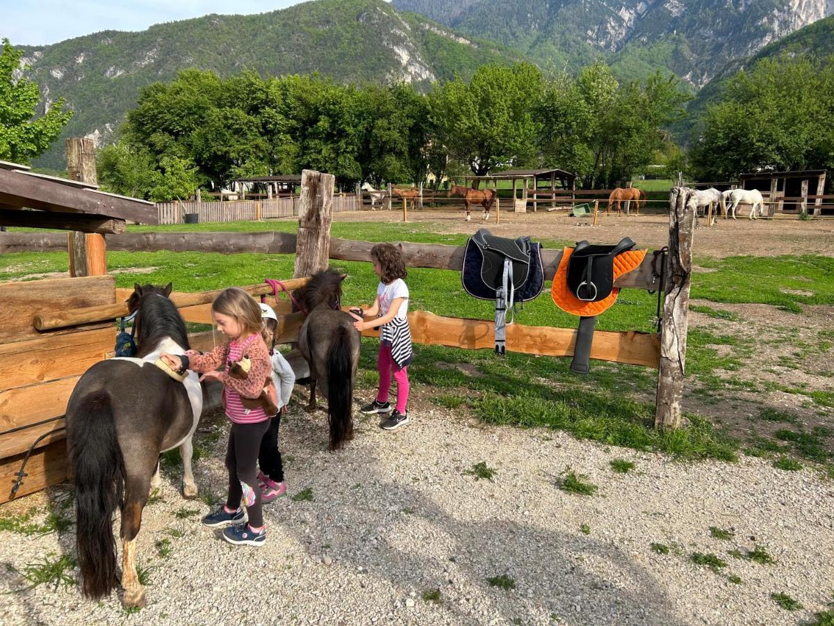 Agritur Airone Bed&Camping Levico Terme Bagian luar foto