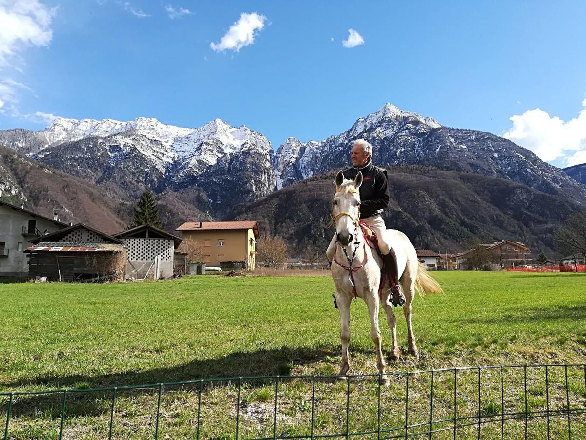 Agritur Airone Bed&Camping Levico Terme Bagian luar foto