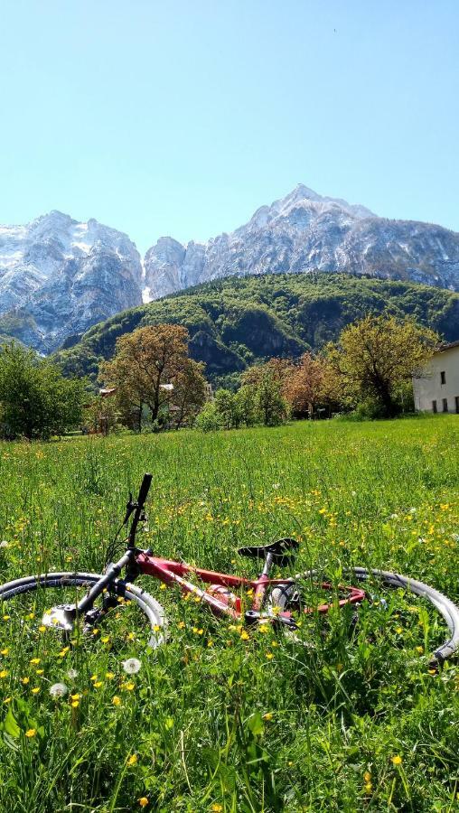 Agritur Airone Bed&Camping Levico Terme Bagian luar foto