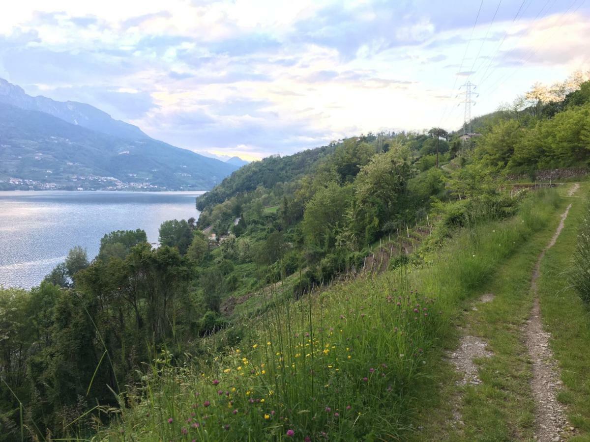 Agritur Airone Bed&Camping Levico Terme Bagian luar foto