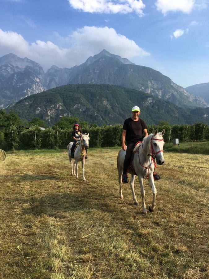 Agritur Airone Bed&Camping Levico Terme Bagian luar foto